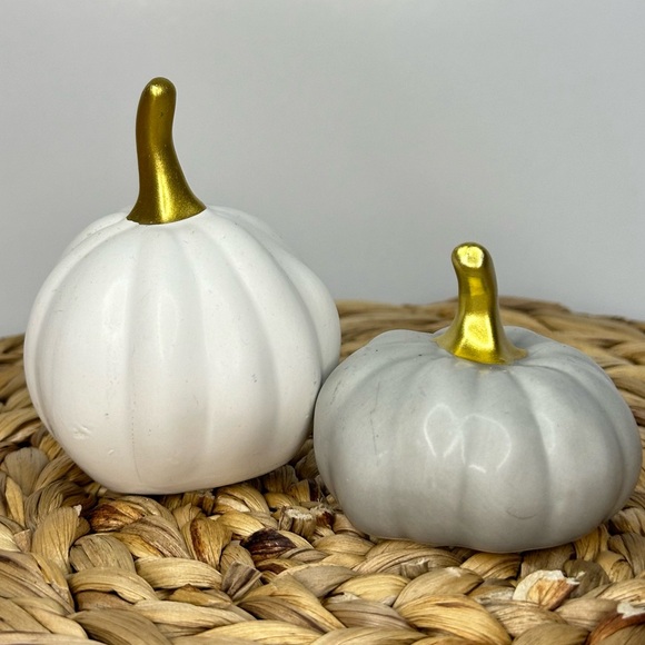 Other - Small Fall Pumpkin Decorations